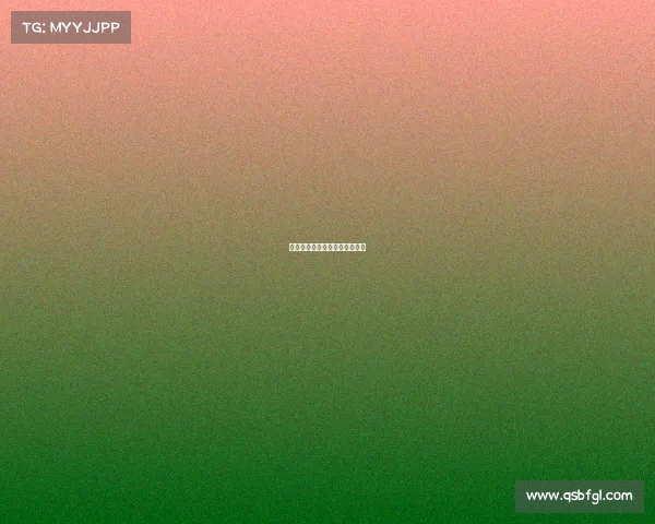 全面解析网球比赛现场直播报道